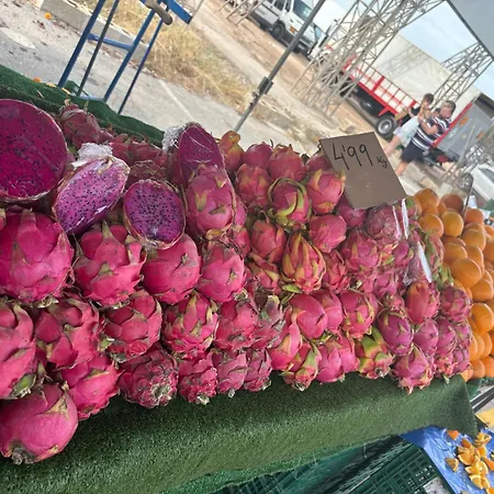 Miramar V Apartamento